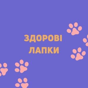 Марафон «Здорові лапки» - Зображення 1